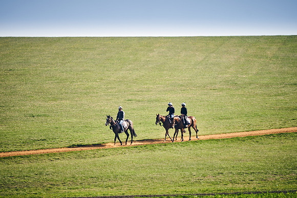 NEWMARKET-GALLOPS-24nd-APRIL-DJ-1883