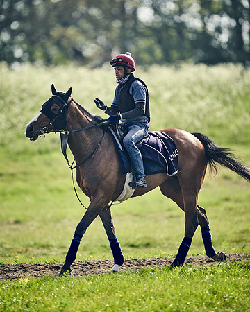 NEWMARKET-GALLOPS-24nd-APRIL-DJ-1639