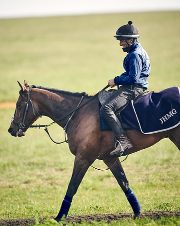 NEWMARKET-GALLOPS-24nd-APRIL-DJ-1635