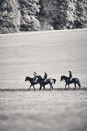 NEWMARKET-GALLOPS-24nd-APRIL-DJ-1905
