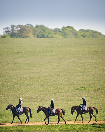 NEWMARKET-GALLOPS-24nd-APRIL-DJ-1893