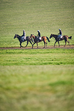 NEWMARKET-GALLOPS-24nd-APRIL-DJ-1903