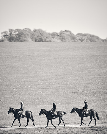 NEWMARKET-GALLOPS-24nd-APRIL-DJ-1892 1