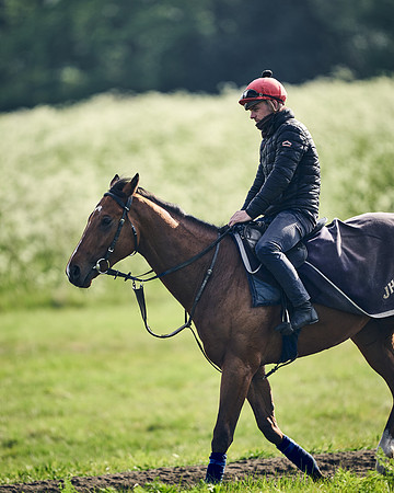 NEWMARKET-GALLOPS-24nd-APRIL-DJ-1608