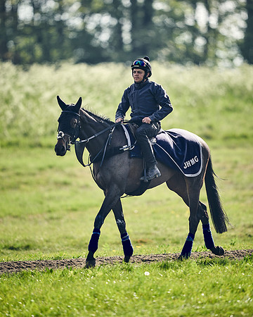 NEWMARKET-GALLOPS-24nd-APRIL-DJ-1637