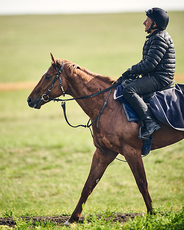 NEWMARKET-GALLOPS-24nd-APRIL-DJ-1632