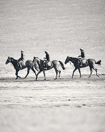 NEWMARKET-GALLOPS-24nd-APRIL-DJ-1903 1