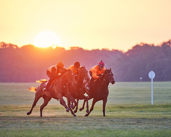 2020-09-02-DominicJames-0370