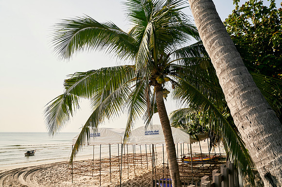 BEACH-RIDE-SATURDAY_2019_DomincJames_2108