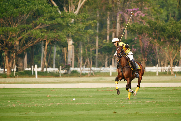 THAI-POLO-OPEN-THURSDAY_DJ_7237