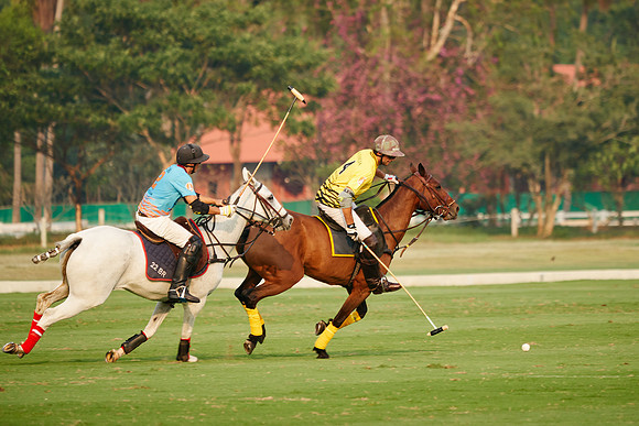 THAI-POLO-OPEN-THURSDAY_DJ_7306