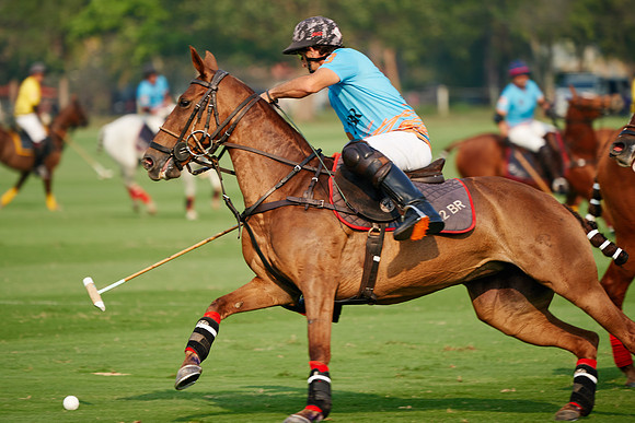 THAI-POLO-OPEN-THURSDAY_DJ_7104