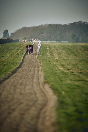 HORSES-IN-TRAINING-9TH-APR-DJ-0481