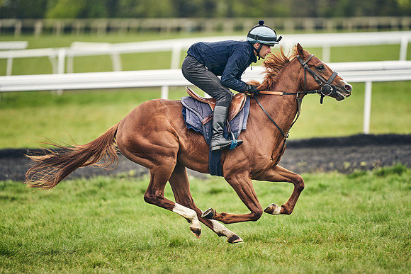 HORSES-IN-TRAINING-18TH-APR-DJ-1601