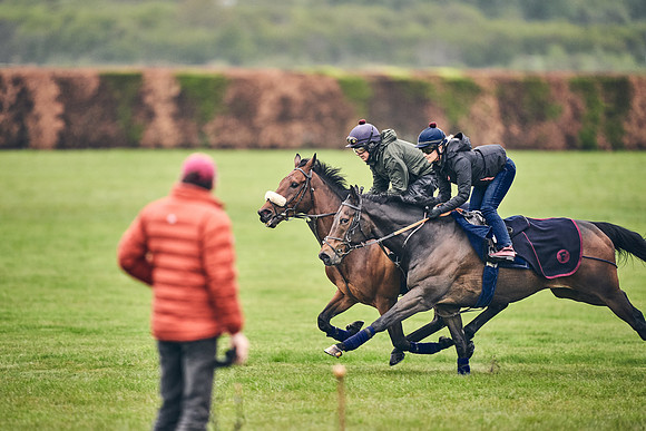 HORSES-IN-TRAINING-18TH-APR-DJ-0850