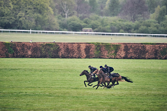HORSES-IN-TRAINING-18TH-APR-DJ-0666