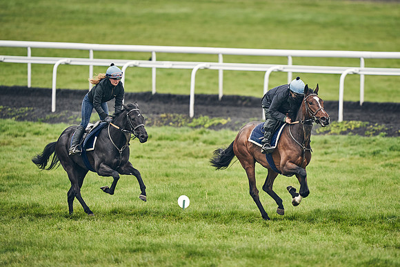 HORSES-IN-TRAINING-18TH-APR-DJ-1632