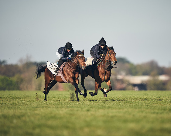 CAMBRIDGE-ROAD-GALLOPS-15TH-APRIL-DJ-_DJ94534-0557
