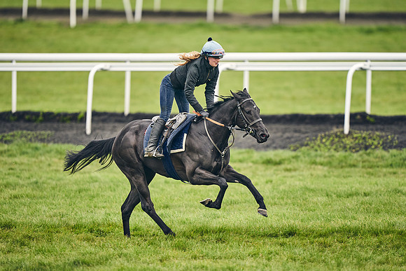 HORSES-IN-TRAINING-18TH-APR-DJ-1644