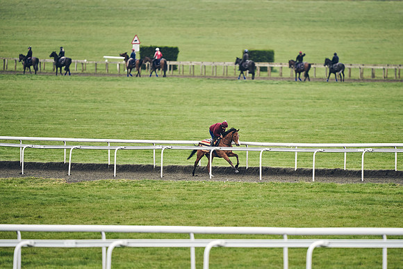 HORSES-IN-TRAINING-18TH-APR-DJ-1463