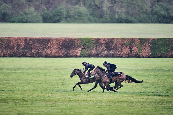 HORSES-IN-TRAINING-18TH-APR-DJ-0681