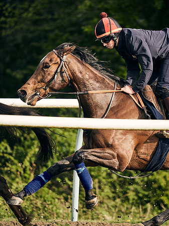 NEWMARKET-GALLOPS-24nd-APRIL-DJ-1290
