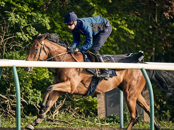 NEWMARKET-GALLOPS-24nd-APRIL-DJ-1284 1