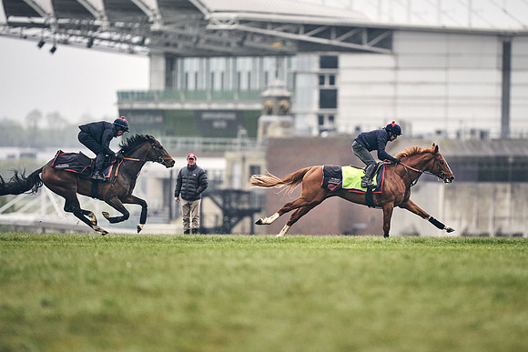 HORSES-IN-TRAINING-18TH-APR-DJ-0345