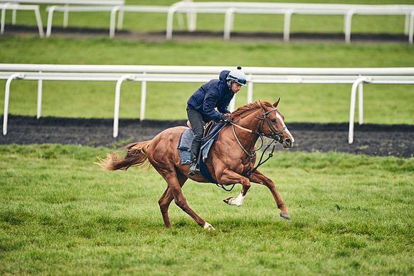 HORSES-IN-TRAINING-18TH-APR-DJ-1540