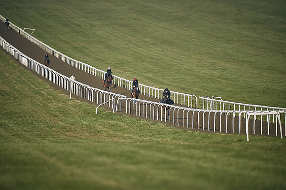 HORSES-IN-TRAINING-9TH-APR-DJ-1131
