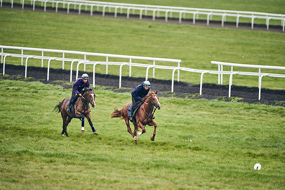 HORSES-IN-TRAINING-18TH-APR-DJ-1529