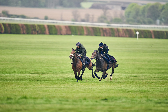 HORSES-IN-TRAINING-18TH-APR-DJ-0811