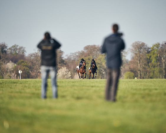CAMBRIDGE-ROAD-GALLOPS-15TH-APRIL-DJ-_DJ94502-0525