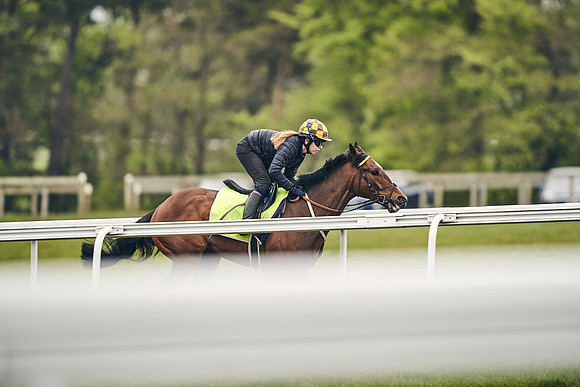 HORSES-IN-TRAINING-18TH-APR-DJ-2050
