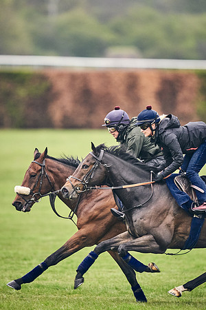 HORSES-IN-TRAINING-18TH-APR-DJ-0858