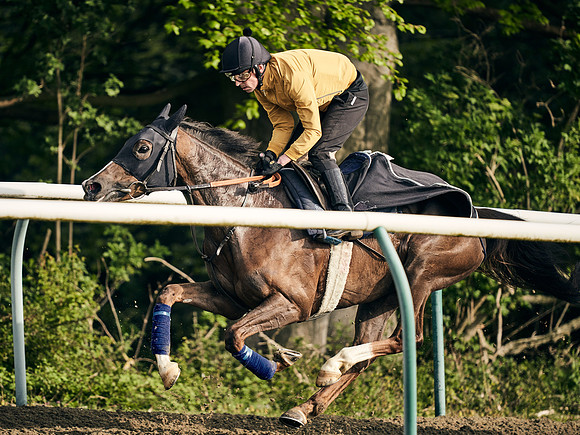 NEWMARKET-GALLOPS-24nd-APRIL-DJ-1288