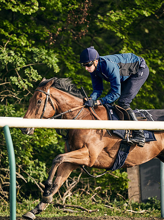 NEWMARKET-GALLOPS-24nd-APRIL-DJ-1284