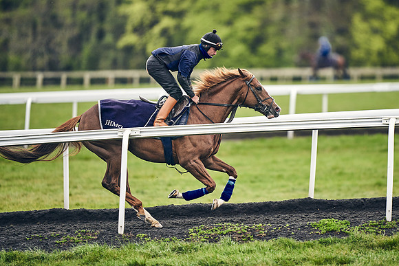 HORSES-IN-TRAINING-18TH-APR-DJ-1218