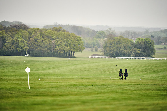 HORSES-IN-TRAINING-18TH-APR-DJ-0796
