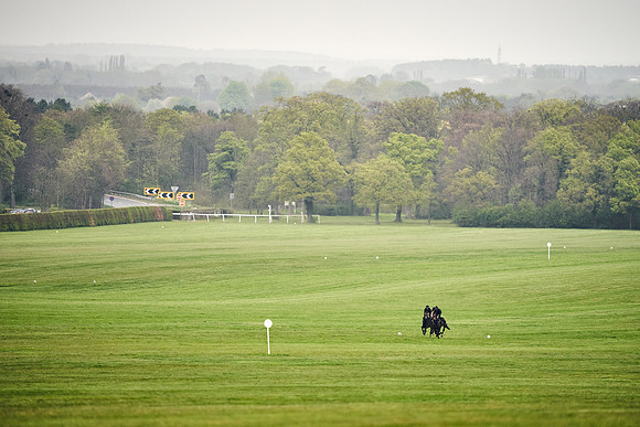 HORSES-IN-TRAINING-18TH-APR-DJ-0629