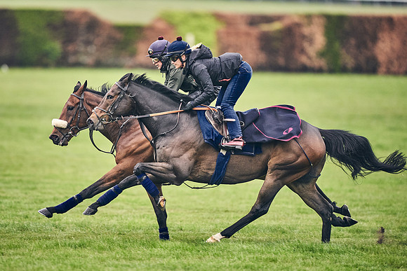 HORSES-IN-TRAINING-18TH-APR-DJ-0863