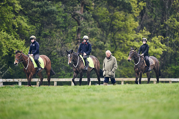 HORSES-IN-TRAINING-18TH-APR-DJ-2098