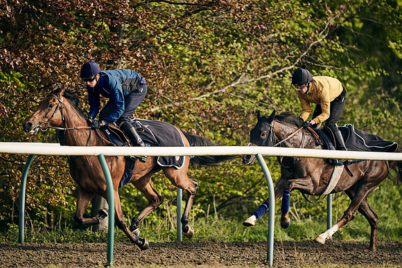NEWMARKET-GALLOPS-24nd-APRIL-DJ-1282
