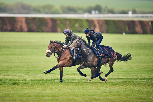 HORSES-IN-TRAINING-18TH-APR-DJ-0833