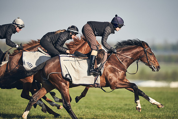 CAMBRIDGE-ROAD-GALLOPS-15TH-APRIL-DJ-_DJ94670-0693