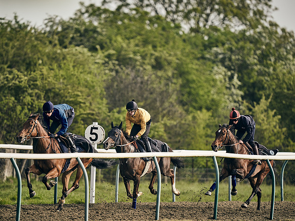 NEWMARKET-GALLOPS-24nd-APRIL-DJ-1278