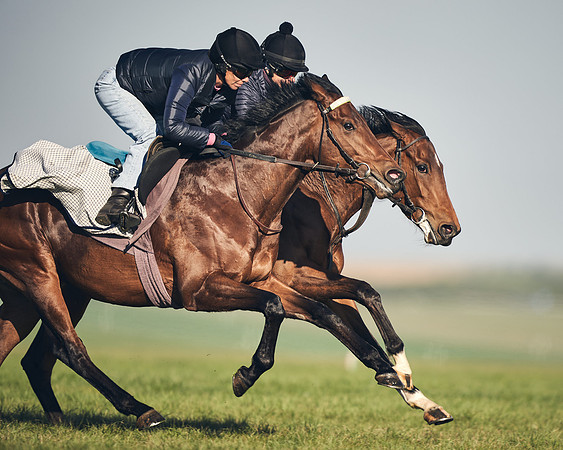 CAMBRIDGE-ROAD-GALLOPS-15TH-APRIL-DJ-_DJ94566-0589