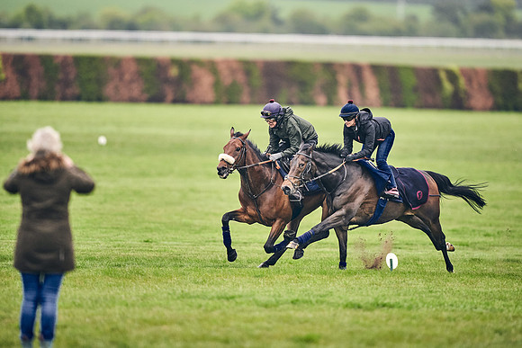HORSES-IN-TRAINING-18TH-APR-DJ-0826