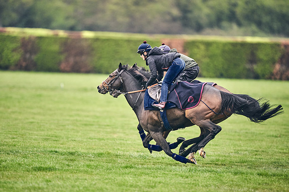 HORSES-IN-TRAINING-18TH-APR-DJ-0881