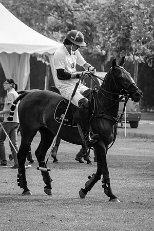Royal Salute Gold Cup 2012 China Polo Tournament Open